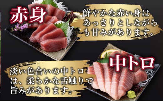 【 3回定期便 】 天然 マグロ 中トロ 赤身 柵 計680g以上 サク さく メバチ 天然まぐろ マグロ 鮪 まぐろ 100% 冷凍 刺身 海鮮 丼 刺し身 小分け 高知 室戸