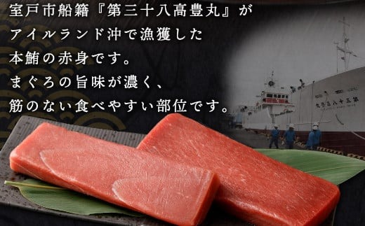 天然本まぐろ 赤身サク 合計約1kg 【日時指定可】 刺身 お刺し身 柵 マグロ 鮪 ちらし寿司 手巻き寿司 おかず 海鮮丼 マグロ丼 マグロ漬け丼 魚介類 真空パック 父の日 惣菜 訳あり 規格外 高豊丸 冷凍