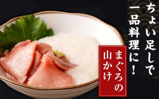 【天然本まぐろ 中トロ】 720g 60g×12パック 切落し お手軽 食べきりサイズ 切り落とし お刺身 魚介類 海鮮 小分け 魚 天然まぐろ 魚貝 マグロ 高知県 簡単解凍 簡単調理 惣菜 冷凍