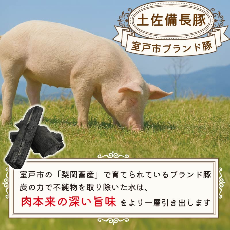 豚肉 バラエティセット 約2.4kg｜土佐備長豚 国産豚肉 国産ぶた 備長炭育ち お試し しゃぶしゃぶ スライス 生姜焼き 豚こま ミンチ 冷凍 小分け 家庭用 贈答用 業務用 吉岡精肉店 高知県 室戸市 【一番人気】計約2.4kg ｜17,000円
