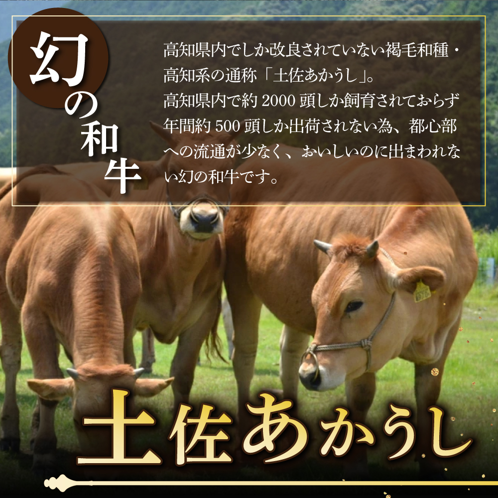 温めるだけ！土佐あかうしと四万十ポークのハンバーグ　５個セット