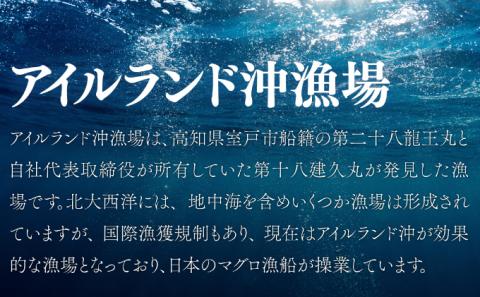 天然本マグロ　中トロ　２柵（４００ｇ）