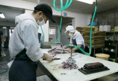 おさかなジャーキー３種セット