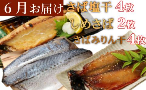 室戸流藁焼きタタキと地魚干物定期便B（年６回・偶数月お届け）