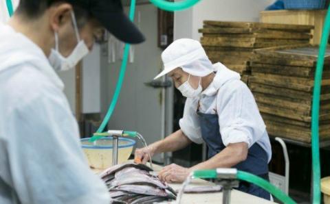 銀フグミリン干・塩干セット【500ｇ】