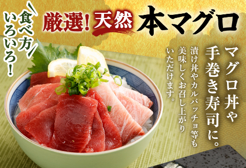 【室戸市】 厳選 天然 本マグロ 大トロ 中トロ 赤身 600g