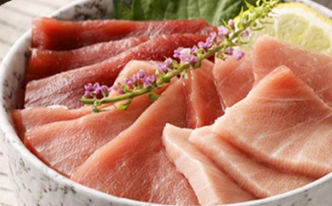 【室戸市】 厳選 天然 本マグロ 中トロ 赤身 600g