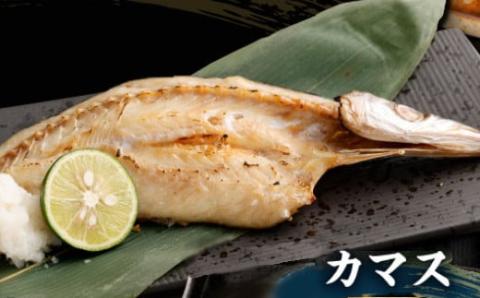 【定期便_奇数月お届け６回】訳あり！地魚干物セット約１．５ｋｇ 干物 セット 定期便 魚介類 室戸市