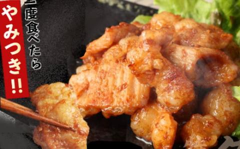 ヤマジュウの特製タレ漬け！国産牛ホルモン６００ｇ【６回定期便】