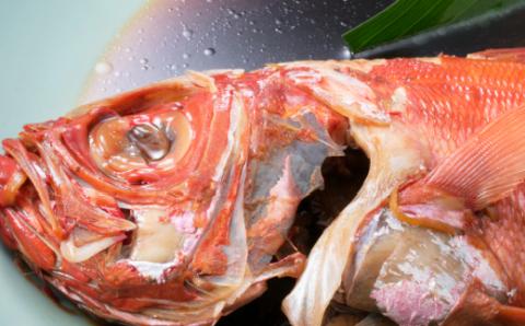 初音の毎月お届け！定期便 _ 冷凍 調理済み 時短 湯せん お弁当 個包装 惣菜 小分け 子供 簡単調理 お取り寄せ 人気 湯煎 お湯ぽちゃ レトルト 温めるだけ hn118