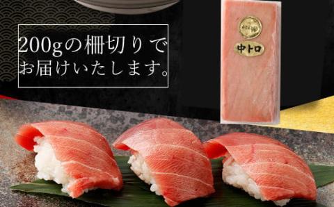 【３回定期便】天然本マグロ　中トロ　２柵　解凍書付 海鮮 魚介 鮪 惣菜 冷凍 クロマグロ