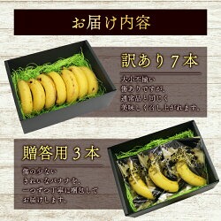 【冷凍フルーツ】高知県産 侍バナナ｜無農薬・国産・農家直送 手のひらサイズ 1kg バナナ フルーツ 果物 冷凍フルーツ バナナ サムライ スムージー ふるさと納税 冷凍バナナ 1kg（￥50,000）