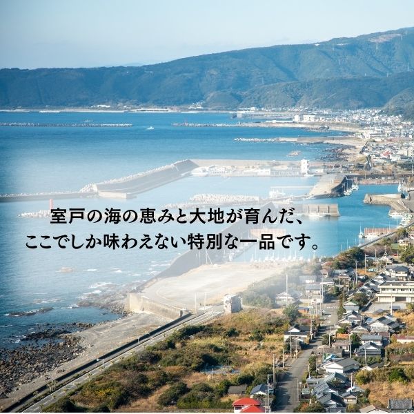 農家直送 白茄子 土佐の美味茄子の新鮮ナス 8本 2kg 野菜 なす ナス 常温 小袋 国産 夏野菜 茄子 小分け 旬 高知 白茄子 2kg （￥15,000）