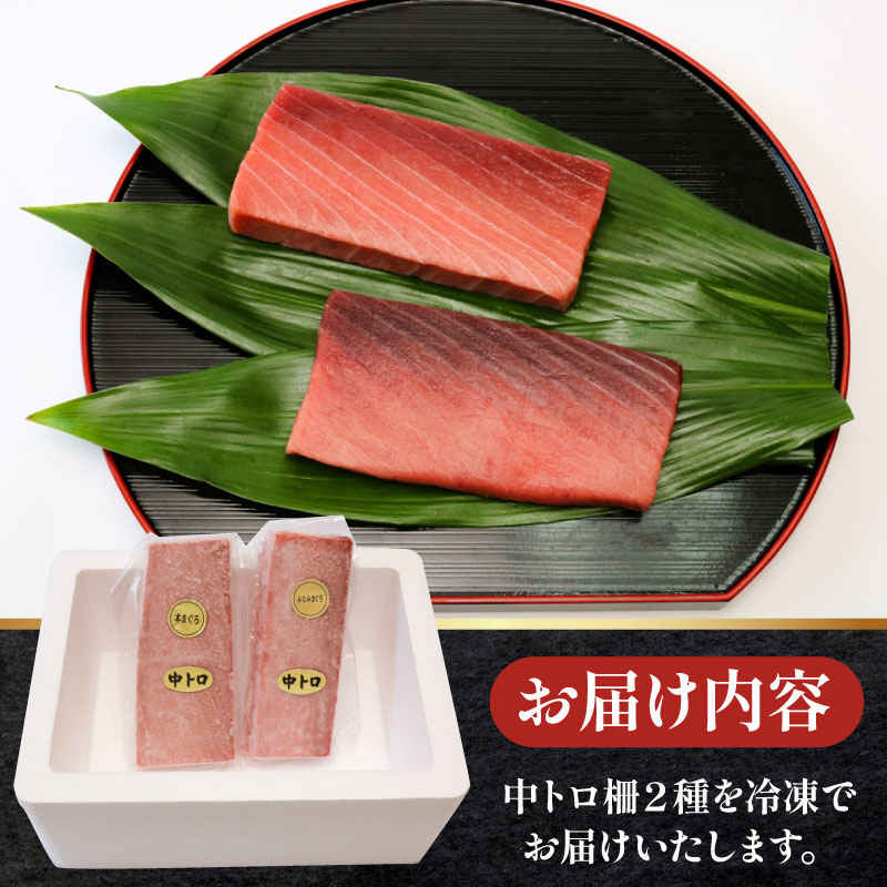 【６回定期便】天然本マグロ 天然南マグロ 中トロ 各２柵 奇数月  まぐろ 鮪 鮮魚 刺身 寿司 高級 食べ比べ