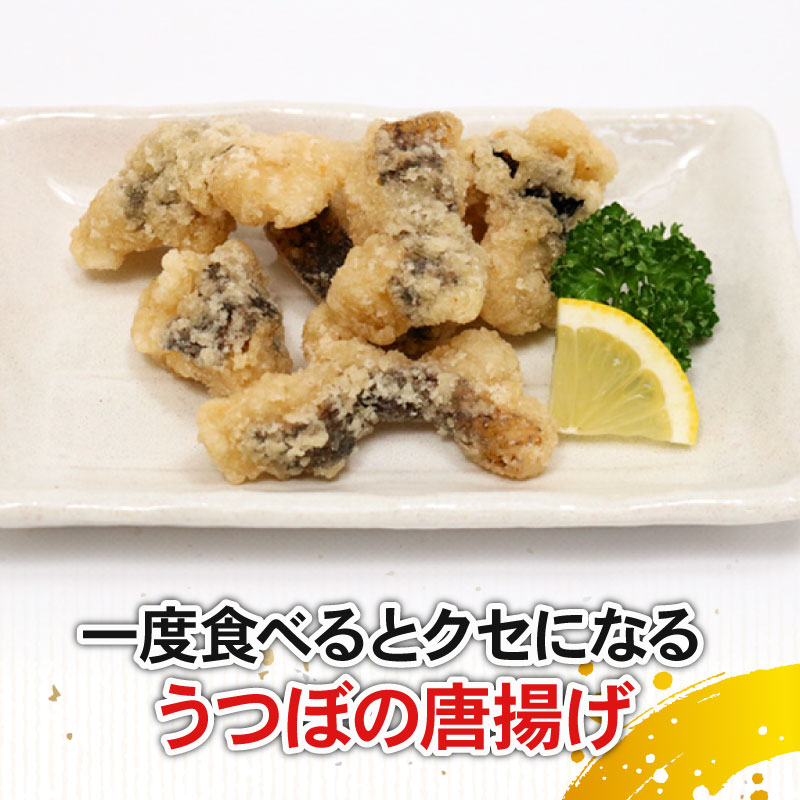 お酒のおつまみ珍味セット 酒の肴 珍味 酒 ちんみ 簡単調理 高知県室戸市 唐揚げ 魚介 惣菜 おかず