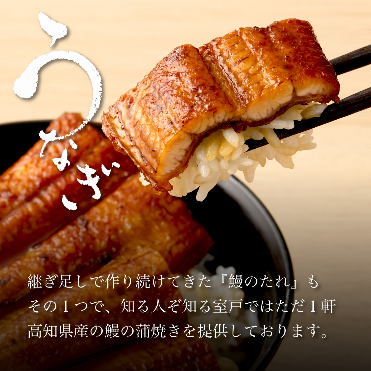 ７０年つぎ足しの秘伝のたれ！初音の厳選高知県産うなぎ蒲焼き２尾 ＿ 国産 ウナギ 鰻 うなぎ 蒲焼き 秘伝のタレ 土用の丑の日 配送可