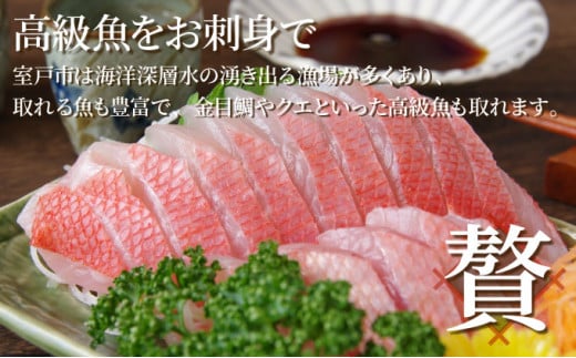 ほんとにおいしい！室戸のお刺身　３～５種盛り合わせお楽しみセット2人前 刺身 刺身盛り合わせ 旬の鮮魚 高知県産 鮮魚 海鮮丼 漬け丼 寿司 惣菜 10000円