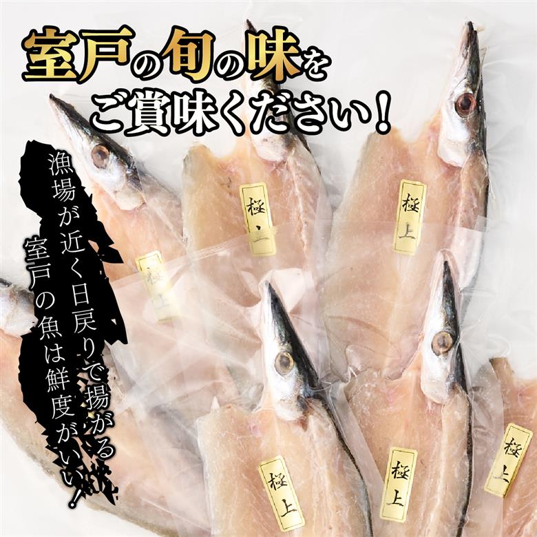 トロカマス干物８枚定期便【全３回】