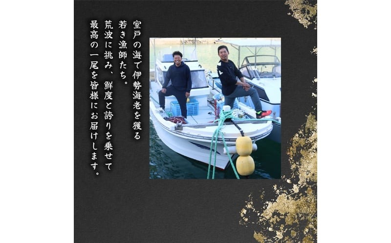 伊勢海老 2kg(5尾～7尾＋タビエビ) 冷蔵 活き伊勢海老 室戸産 国産 エビ えび 海鮮 魚介 産地直送 プリプリ 味噌汁 刺身 焼き物 汁物 室戸海洋深層水 黒潮 高知県 室戸市