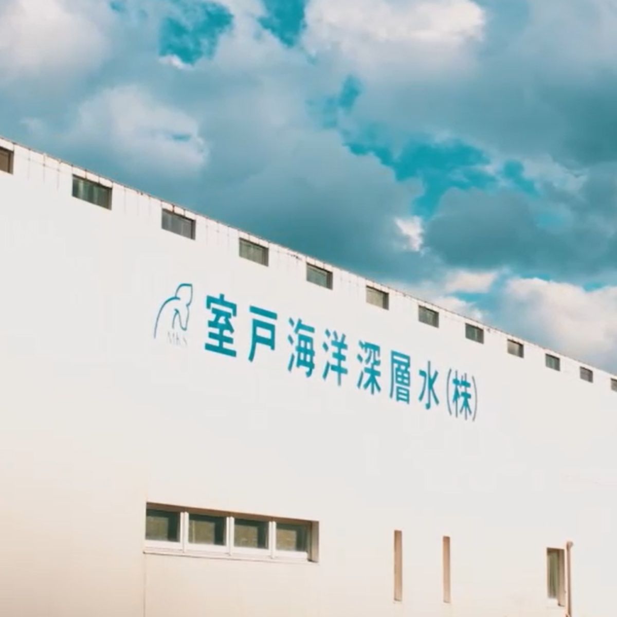 塩結‐三つ彩‐B 小分け 業務用 塩 調味料 塩分 天日塩 国産塩 にがり セット 天然 高知県 室戸市 海洋深層水