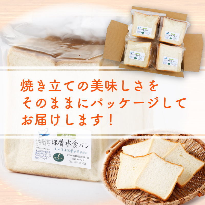 【室戸海洋深層水仕込み】深層水食パン年１２回定期便  食パン ぱん 朝食 ギフト 定期便 人気 食事パン おやつ ４斤×１２回