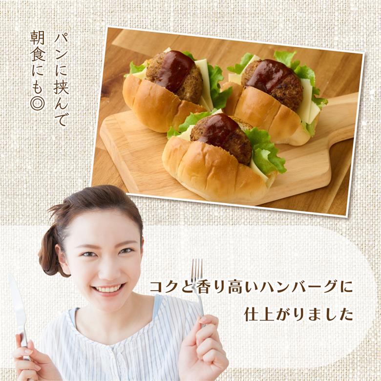 ハンバーガー屋の本気ミニハンバーグ750ｇ（50ｇ×15個） ＜ 国産 高知県産 牛肉 豚肉 ブランド肉 希少 土佐あかうし 四万十ポーク ＞