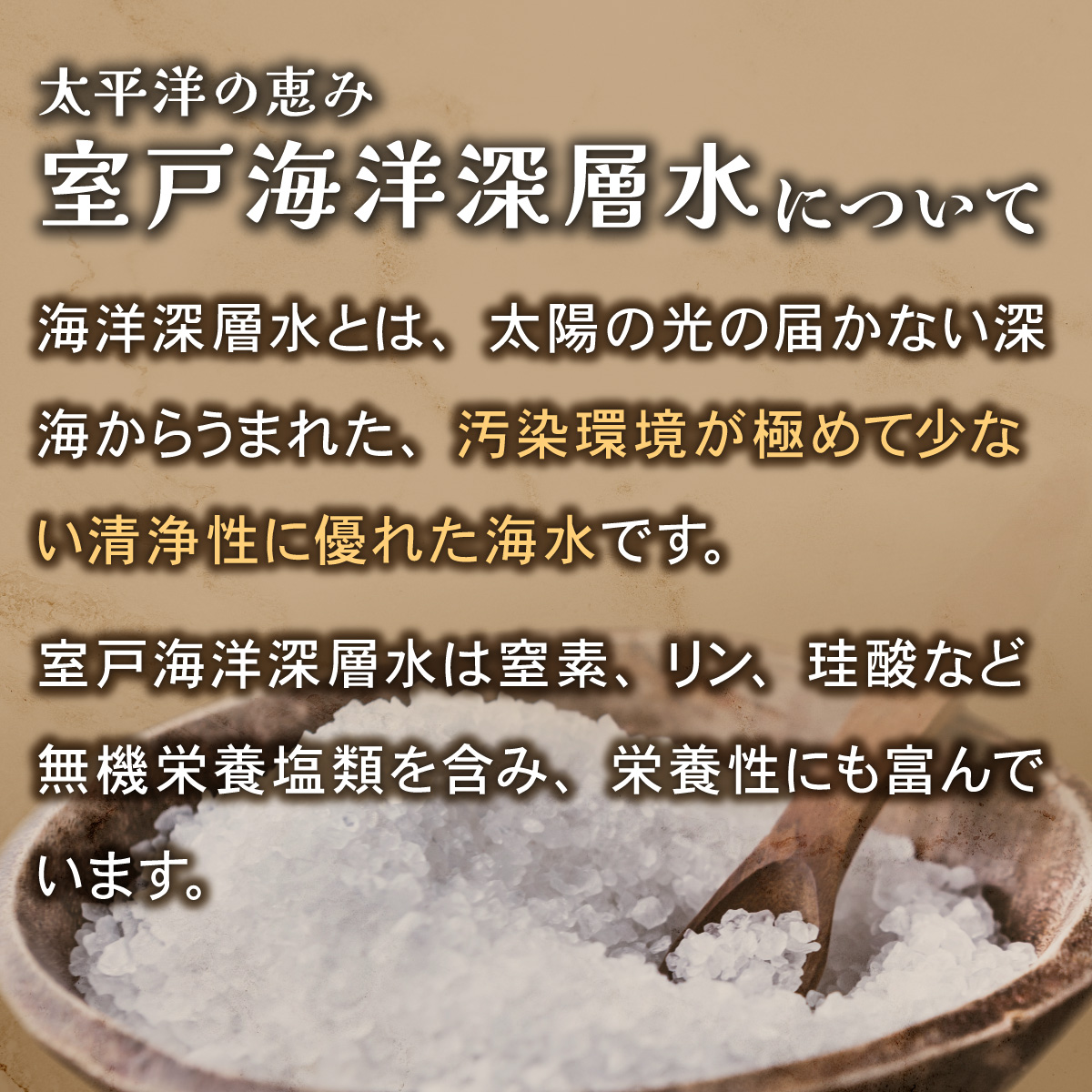 塩バウムクーヘン