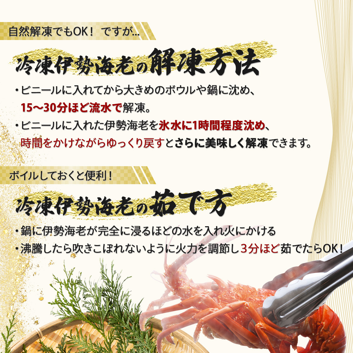 室戸産活冷伊勢海老【２～３尾】