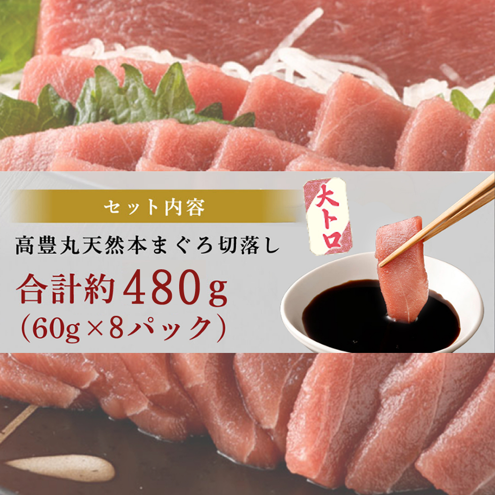 【お刺身ちょこっとパック】 天然本まぐろ 大トロ 切落し 480g 60g×8パック お手軽 食べきりサイズ 切り落とし お刺身 魚介類 海鮮 小分け 魚 天然まぐろ 魚貝 マグロ 高知県 簡単解凍 簡単調理 惣菜 tk103