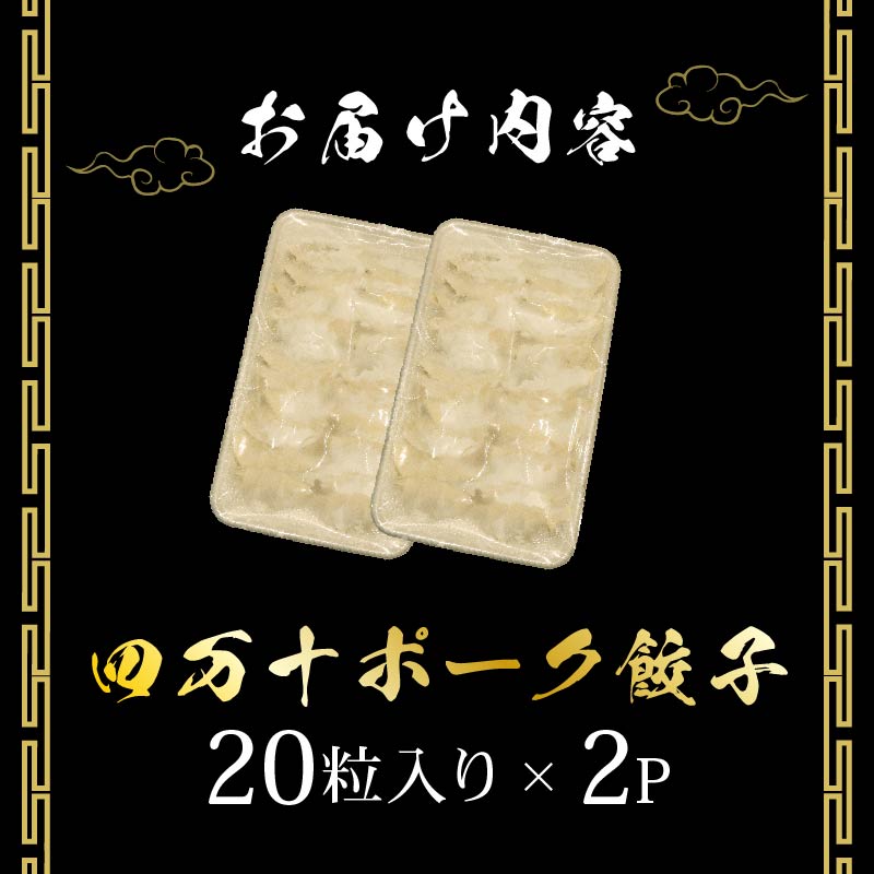餃子 四万十ポーク手作り餃子 ご家庭用 40個