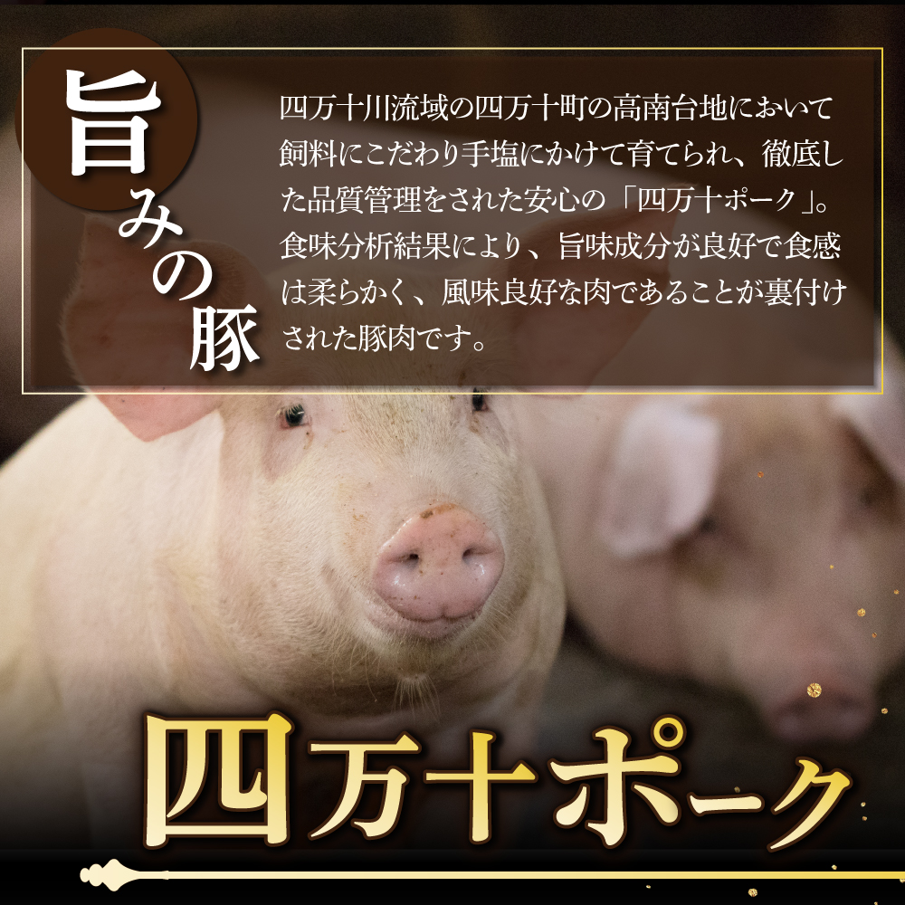 温めるだけ！土佐あかうしと四万十ポークのハンバーグ　５個セット