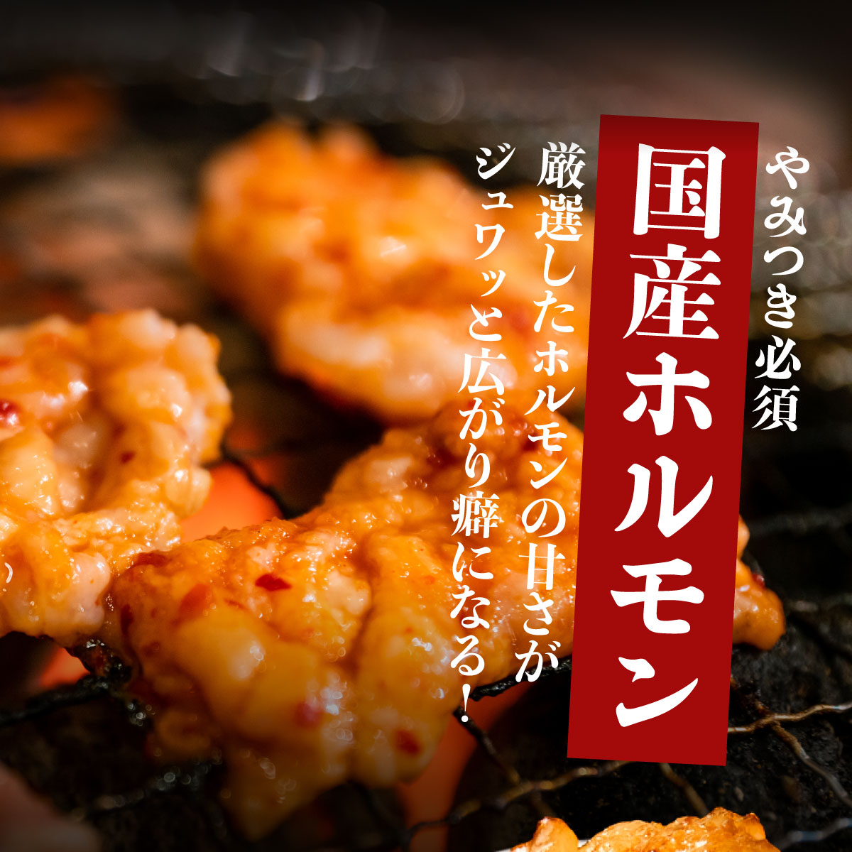 ヤマジュウの特選タレ漬け！和牛ハラミ肉５００g＆国産牛ホルモン３００ｇ