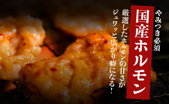 ヤマジュウの特選タレ漬け！和牛ハラミ肉１ｋｇ＆国産牛ホルモン６００ｇ