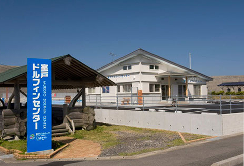 ドルフィンスイム３名（中学生以上）