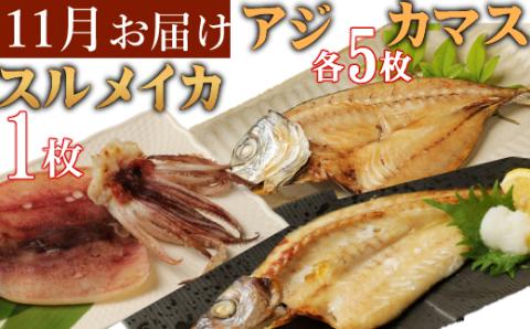 室戸流藁焼きタタキと地魚干物定期便A（年６回・奇数月お届け）