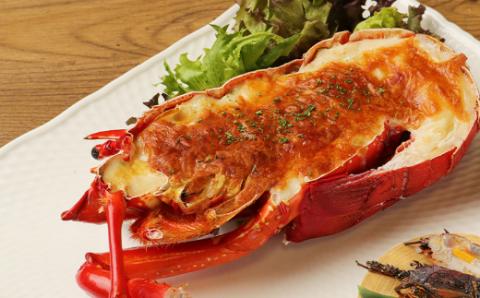 室戸の海からの贈り物（年１２回定期便）