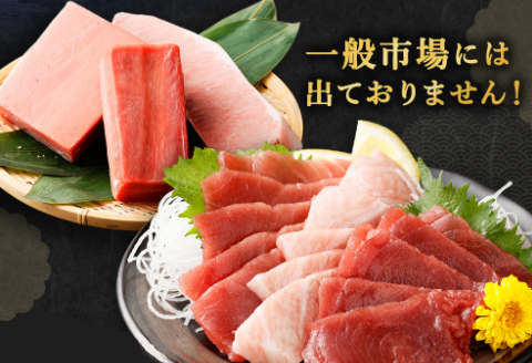 【室戸市】 厳選 天然 本マグロ 大トロ 中トロ 赤身 600g