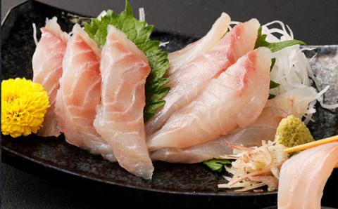 【年12回定期便】初音の定期便お楽しみセット!! おひとり様向け 2人前 毎月届く 肉 魚 惣菜 刺身 加工品 おかず 一人暮らし 冷凍 hn057