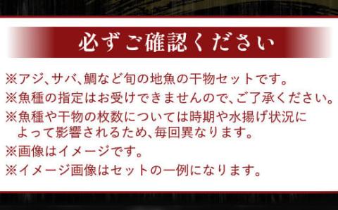 【訳あり】地魚干物セット（約３ｋｇ） 干物 セット 定期便 魚介類 室戸市