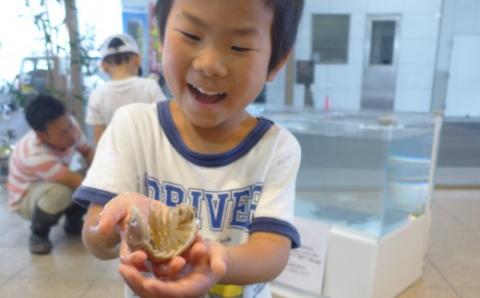 「深海王国」室戸からお届けする「活オオグソクムシ」【３匹】甲殻類 エビ・カニの仲間 珍味 高知県 室戸市 生きたまま 話題性