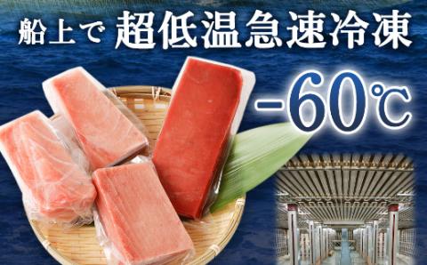 【室戸市】 厳選 天然 本マグロ 中トロ 赤身 600g
