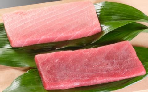 こだわりの天然メバチマグロセット　メバチマグロ中トロ赤身各1柵