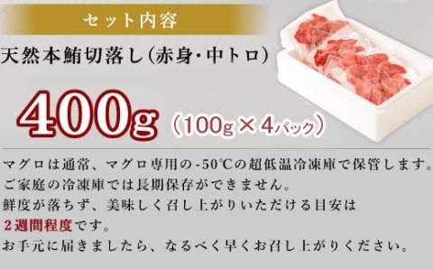 【高豊丸漁獲】天然本マグロ 赤身 中とろ 切落し400g 冷凍 お手軽 切り落とし 中トロ 赤身 セット 切落し 訳あり 高知県 室戸市