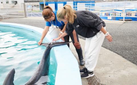 トレーナー体験２名（中学生以上）