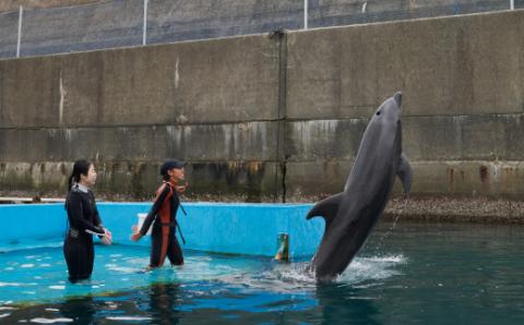 浅瀬ふれあい体験２名（５歳以上小学生）