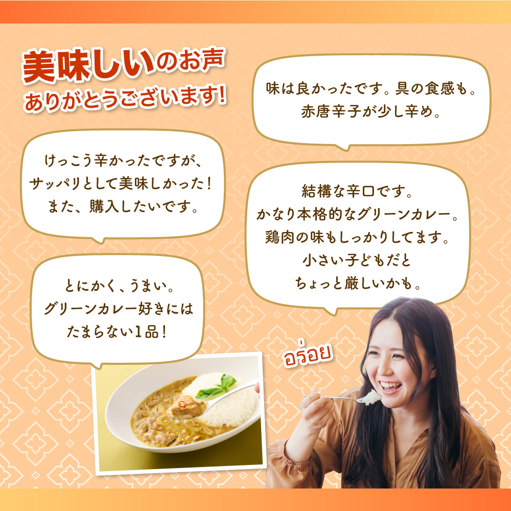 ぶしゅかんグリーンカレー３食セット