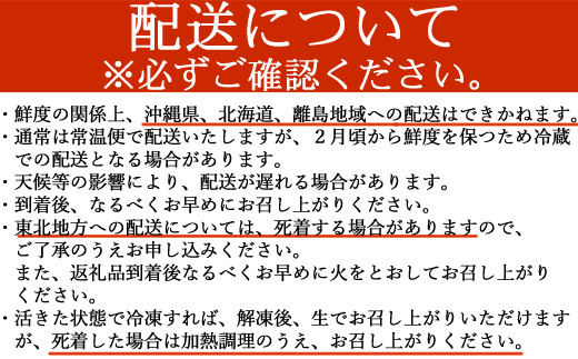 活き伊勢海老 1㎏以上 伊勢エビ 伊勢海老 えび 産地直送 送料無料 エビフライ 刺身 高知県 室戸市