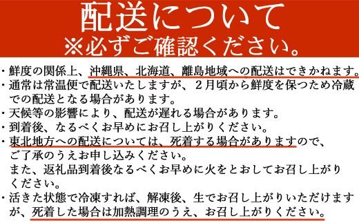 活きイセエビ 2㎏以上 伊勢エビ 伊勢海老  正月 パーティー エビフライ 刺身