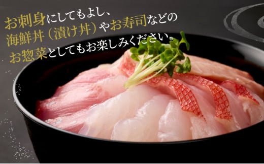 ほんとにおいしい！室戸のお刺身　３～５種盛り合わせお楽しみセット2人前 刺身 刺身盛り合わせ 旬の鮮魚 高知県産 鮮魚 海鮮丼 漬け丼 寿司 惣菜 10000円