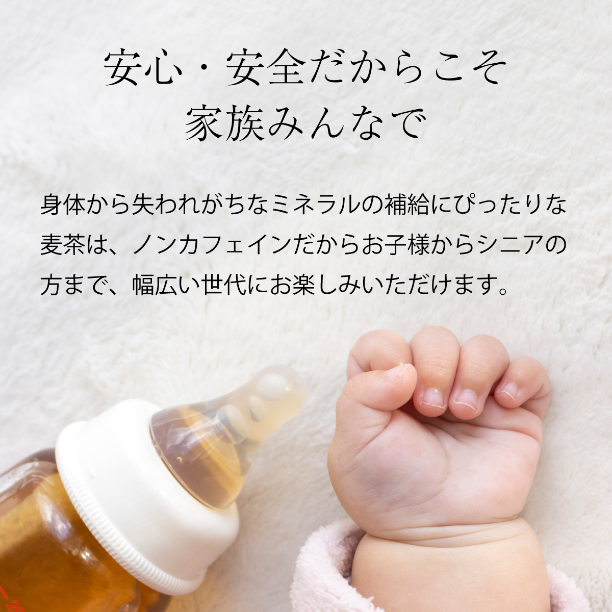 おいしい麦茶600ml×24本